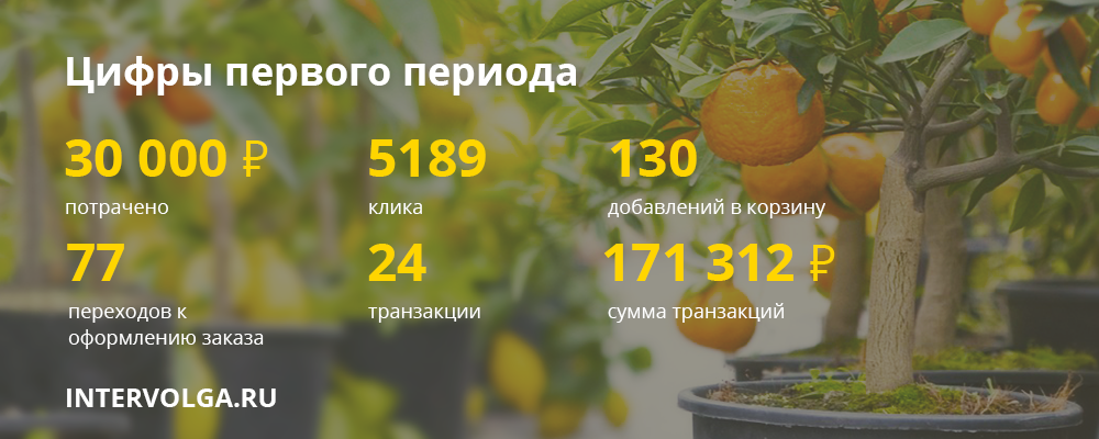 Результаты проведения кампании в Яндекс.Директ в первый период