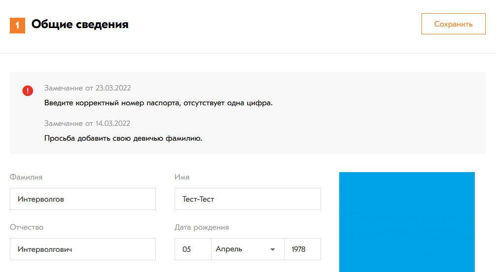 Выделение замечаний Внешний вид замечаний к анкете