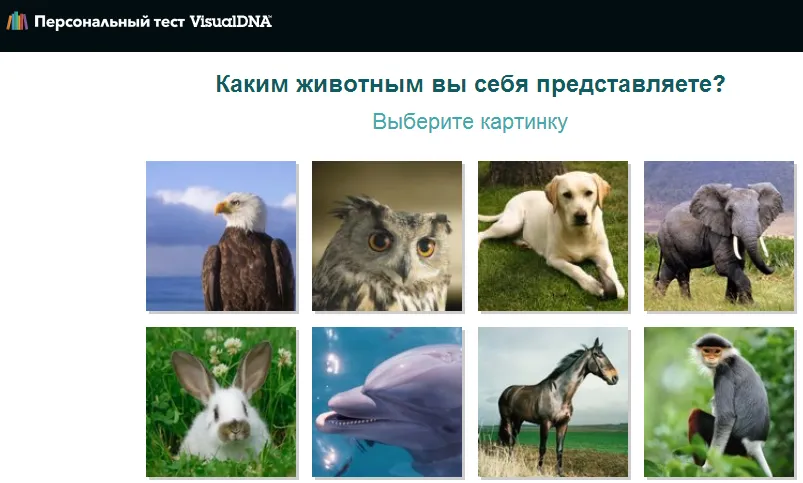 визуальный тест visualdna