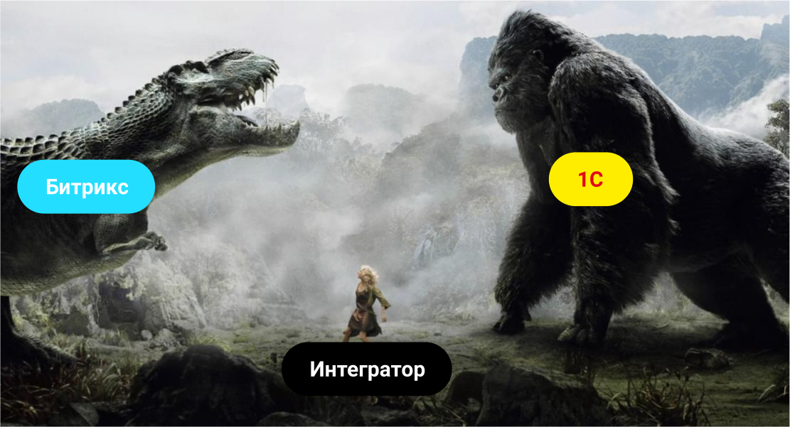 Функции программиста в интеграции 1С и сайта Функции программиста в интеграции 1С и сайта