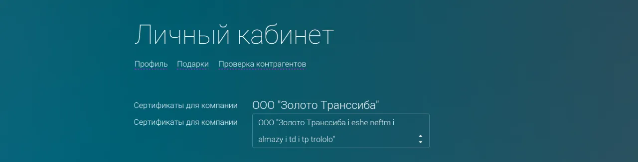 Пример: после обновления БЭМ пропали пунктирные подчеркивания в меню