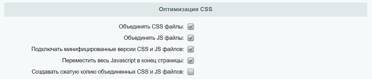 Настройка главного модуля: Оптимизация CSS