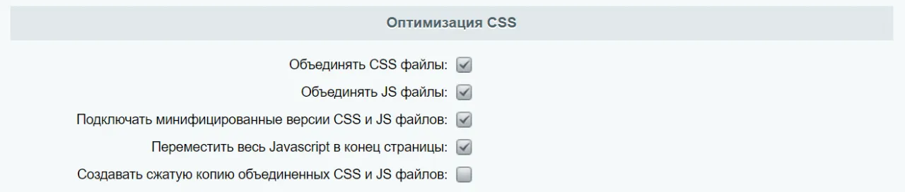 Настройка главного модуля: Оптимизация CSS