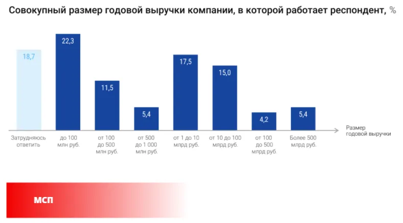 Размер годовой выручки